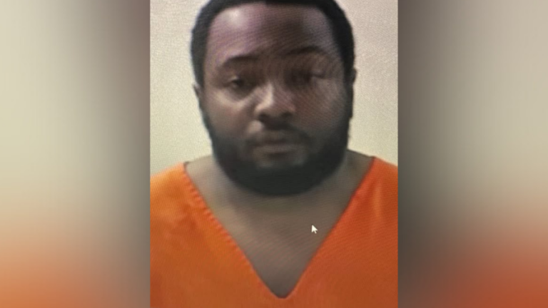 Мужчина арестован по 7 обвинениям после охоты на Сан-Августина