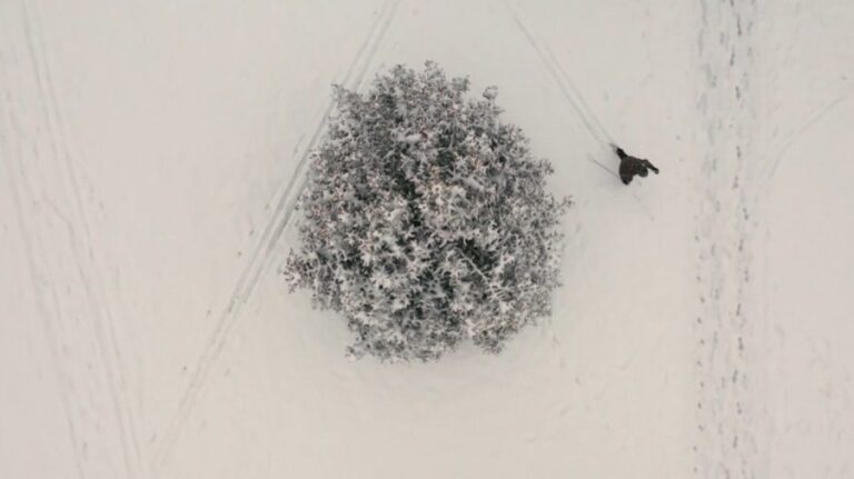 Зимний прогноз Гленна Циммермана