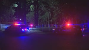 Документы: «Бандовская вражда» вызвала массовую стрельбу в Лейквуде