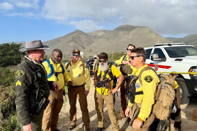 5-летняя девочка пропала без вести, отец умер после того, как большая волна захлестнула их в океан возле Биг-Сур