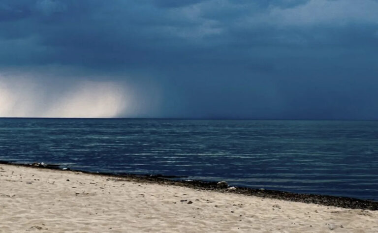 Возмущенные пляжники снимают видео плавающей «мерзости» в воде: «Это реальная жизнь?»