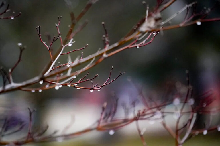 Спокойный или холодный дождь? Какая разница, когда холодная погода возвращается в Индиану?