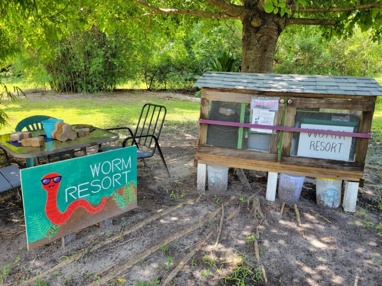 Посетим Бревардский сад открытий: больше, чем когда-либо прежде