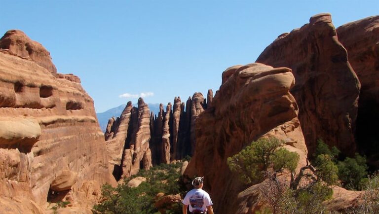 Граффити нашли в Национальном парке Арки