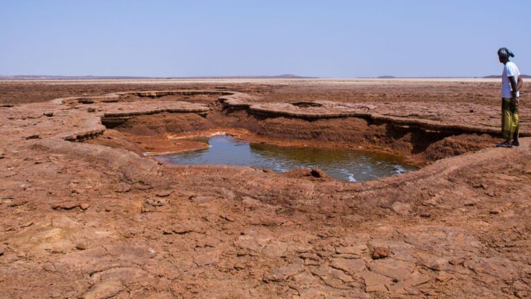 Расследование утверждает, что в Африке формируется новый океан