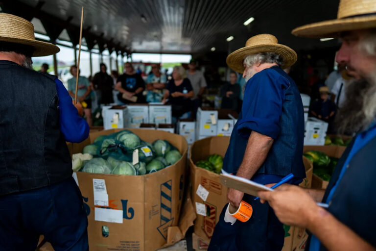 Есть ли в Луизиане общины амишей? Да, здесь есть фермы и предприятия.