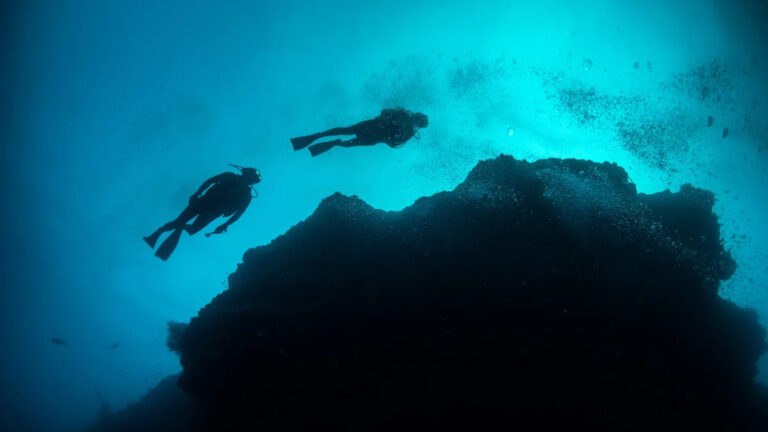 Исследователи ошеломлены после того, как сделали светящееся открытие в глубоководной экспедиции: «Может быть, это будет важно»
