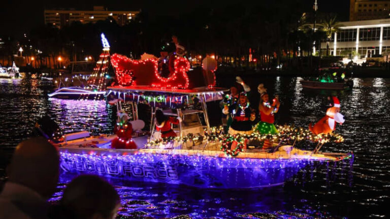 Лучшие события в Тампа-Бей за неделю 15 декабря