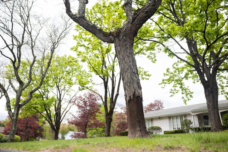 DA раскритиковала решение, которое ослабляет ограничения на алкоголь в отношении подозреваемого в аварии на Лонгмидоу