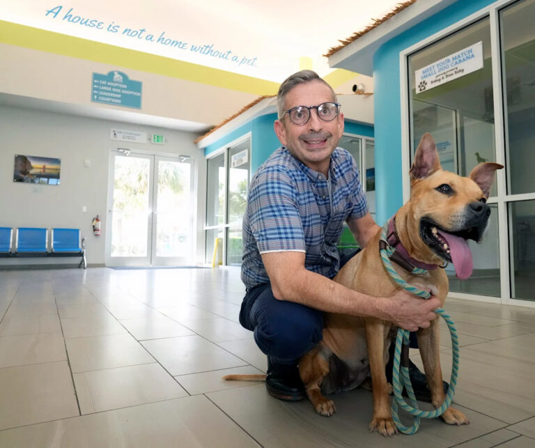 Daytona Beach больше не использует Halifax Humane Society, переключаясь на агентство DeLand