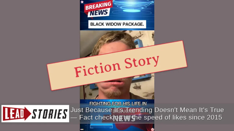 Проверка фактов: «История из Техаса» не соответствует действительности — история пирата-пороха, укушенного пауками черной вдовы в пакете, созданном из сатирического аккаунта