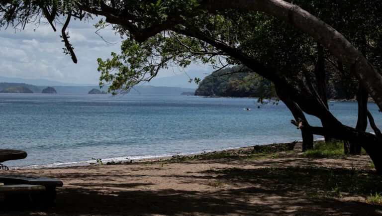 Beachgoer опубликовал фото неприятных тенденций, которые охватили побережье США: «Это должно быть незаконно»