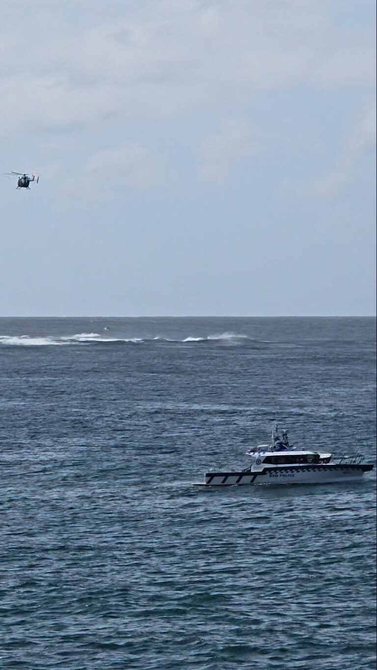 Акула убила серфера в Австралии, который «потерял несколько конечностей»