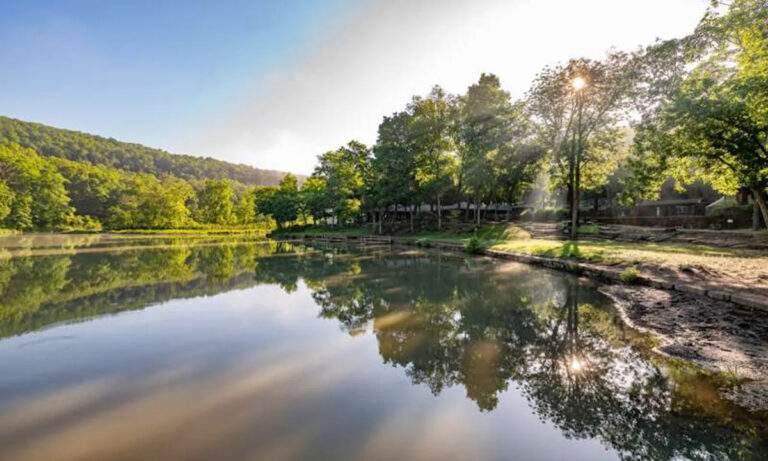 Мать пыталась спасти семью перед смертельной атакой на Дьявола, сообщает полиция