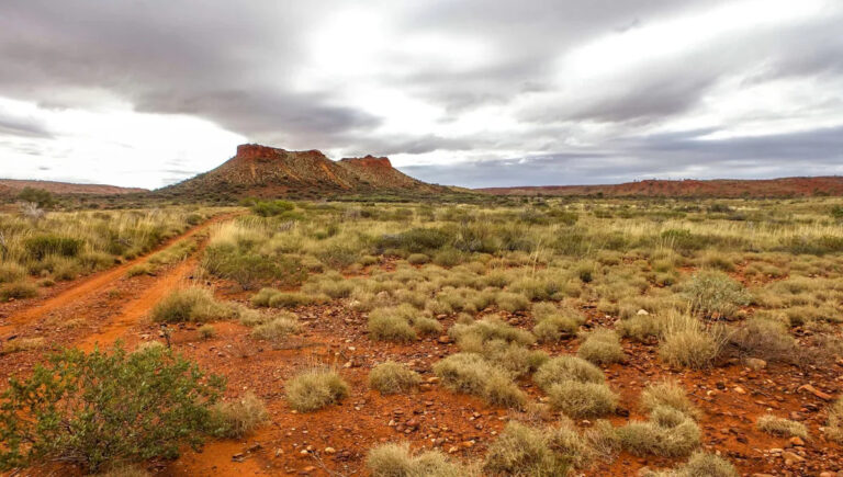 Эксперты предупреждают о быстром распространении существ, которые могут нанести катастрофический ущерб: «Верните вид обратно»