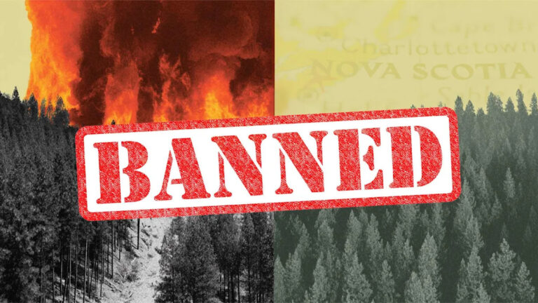 Новая Шотландия запретила всем пешим прогулкам в лесу до октября