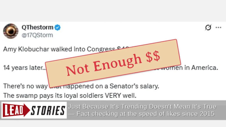 Сенатор Эми Клобушар не является одной из самых богатых женщин в Америке