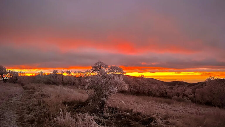 Метеорологическая зима: почему метеорологи называют 1 декабря началом зимы