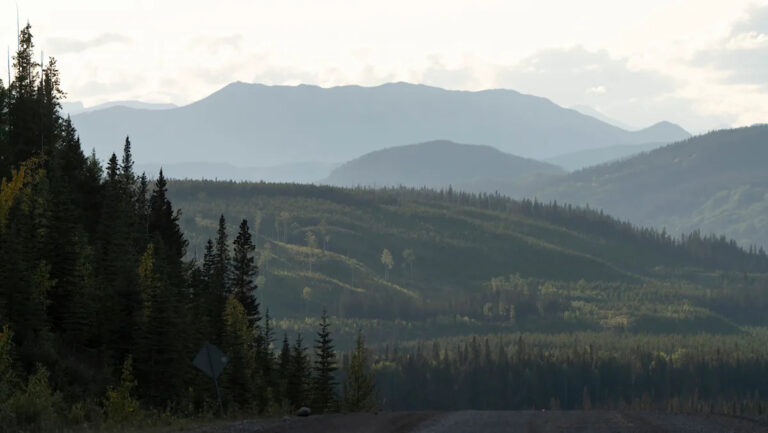 Походы, доставленные в больницу после нападения медведя гризли на популярный маршрут — вот подробности