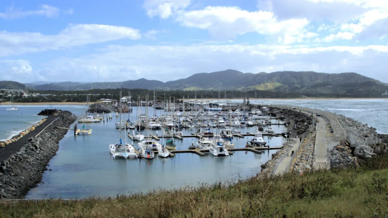 Жители наблюдают редкое обнаружение пятнистого существа: «Это определенно странно»