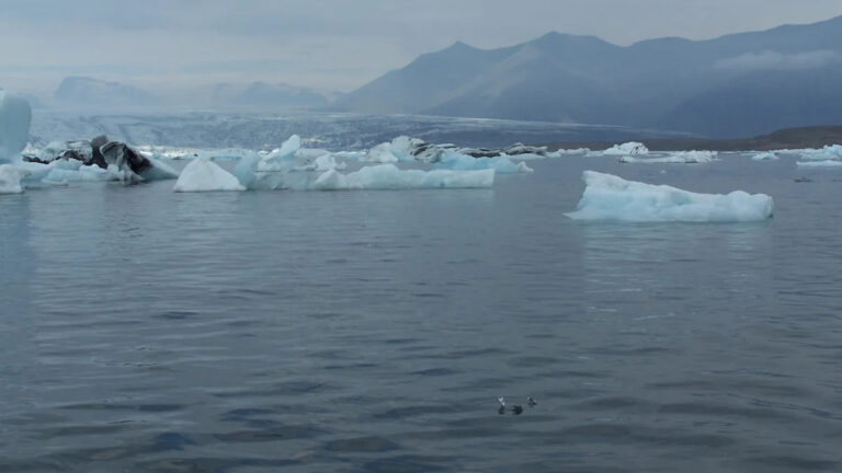 Ученые бьют тревогу, заметив значительный сдвиг в океанах Земли: «Это происходит уже давно»