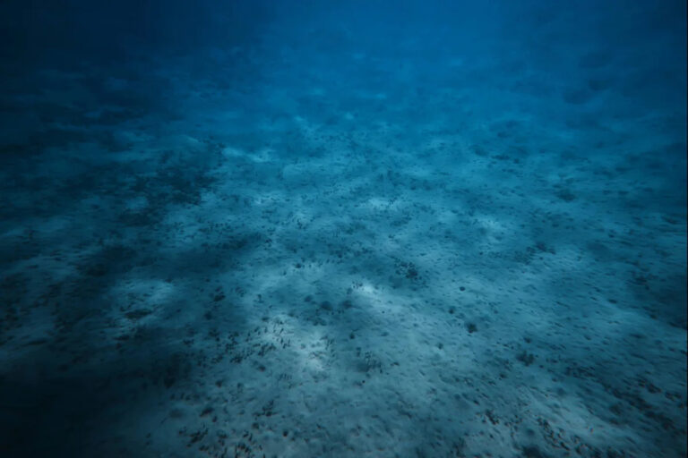 Ученые предупреждают после тревожного открытия, сделанного на дне океана: «Ни один дюйм его не чист».