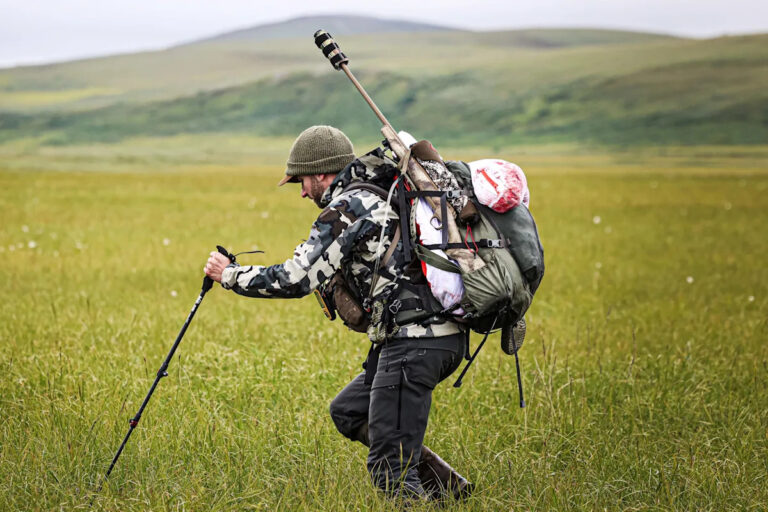 Ходят слухи, что Куйу продали миллиардеру из антиобщественных земель.
