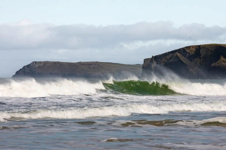 Дайвер снял потрясающее видео доисторических рыб, выходящих из глубин: «Очень необычно»