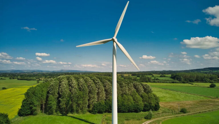 Ученые опровергают ложное утверждение о ветряных турбинах: «Это не проблема»