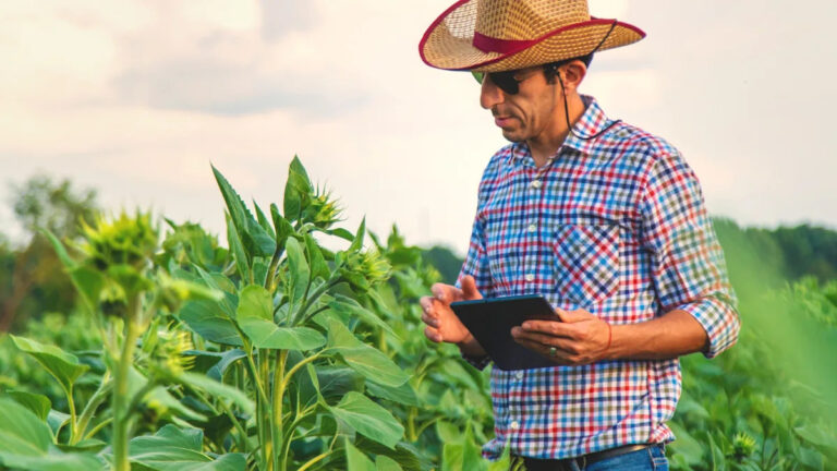 Инвазивное паразитарное растение впервые обнаружили в Северной Америке