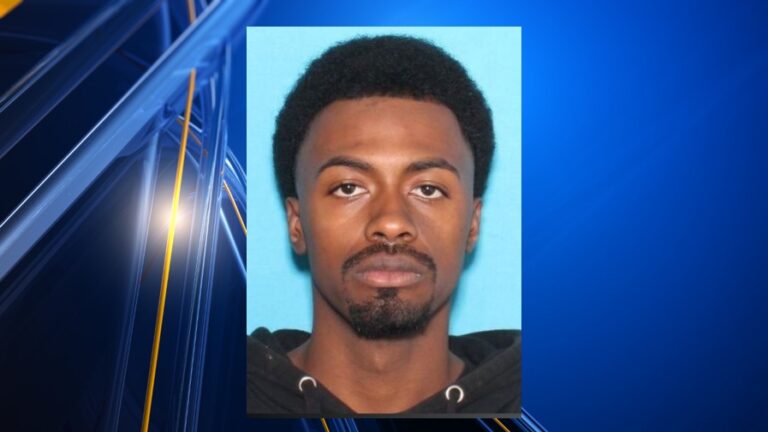 Мужчине НМ предъявлено несколько обвинений после 48-часовой охоты