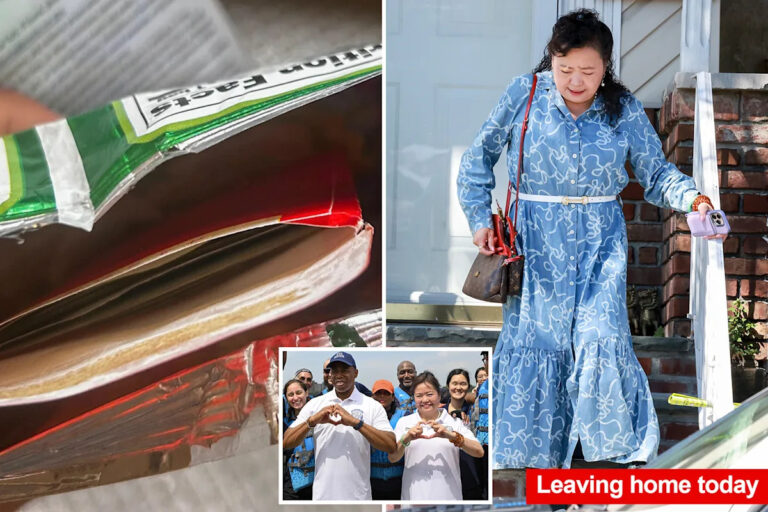 Бывший советник Адамса Винни Греко утверждает, что чип-сумка с наличными, которую она подарила репортеру из Нью-Йорка, была «подарком на день рождения».