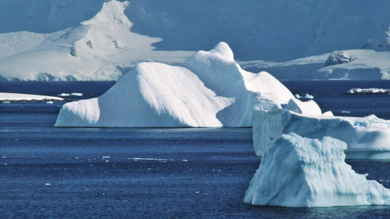 Ученые предупреждают после «удивительного» открытия в Антарктиде: «Здесь происходит что-то особенное»