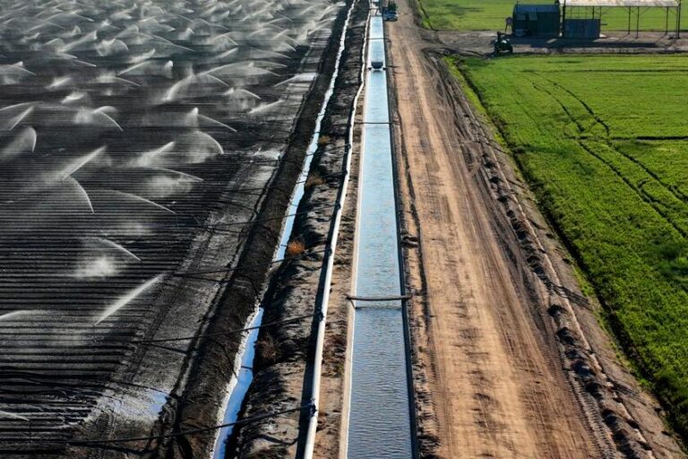 Некоторые крупные агентства по водоснабжению в сельскохозяйственных районах получают воду бесплатно. Критики говорят, что нужно заканчивать