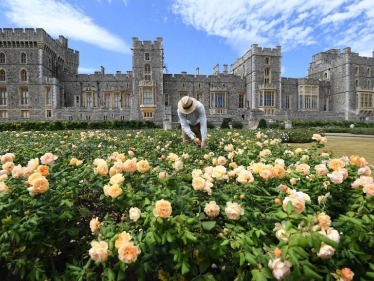 Виндзорский замок, самый большой в мире замок с 1000 комнат