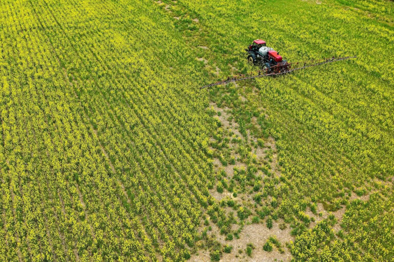 EPA одобрило новые «вечные химические» пестициды для использования в пищевых продуктах