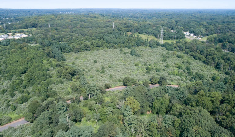 Психиатрическая больница Мальборо стала «призрачным» парком округа Монмут