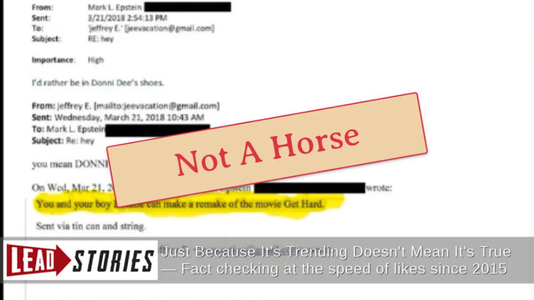 Факты: ссылка на «Bubba» в письме Марка Эпштейна брату Джеффри Эпштейну не была о Трампе и лошади