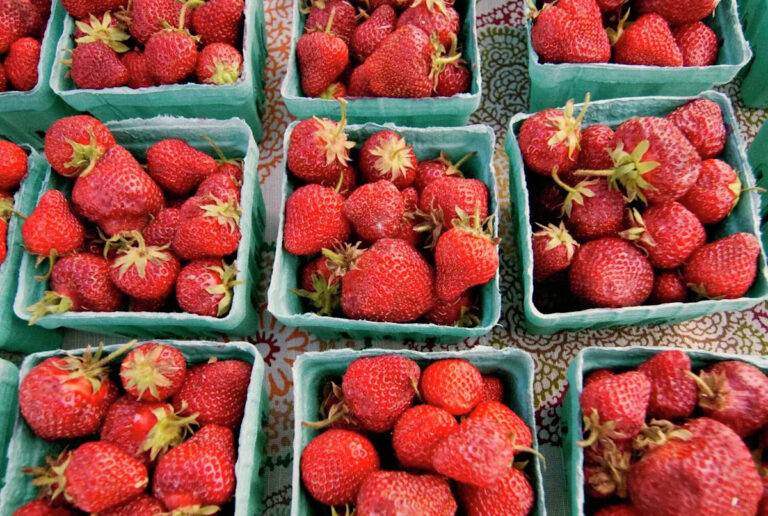 Нехватка клубники по всей стране обрушилась на магазины Коннектикута, поскольку дожди наводняют поля Калифорнии