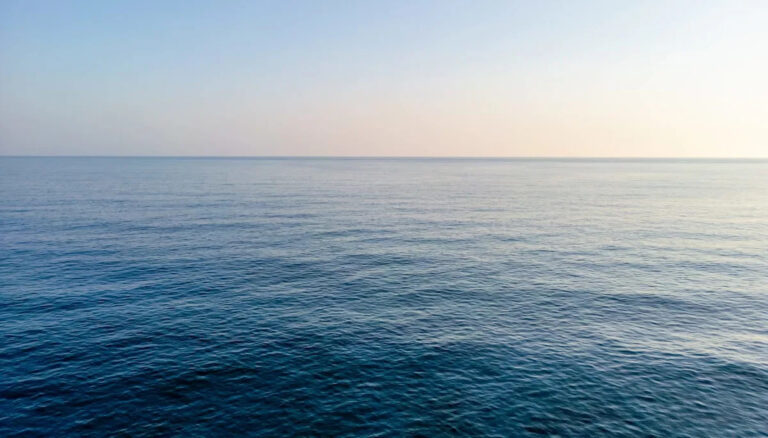 Основатель некоммерческой организации запускает миссию, изменяющую правила игры, после инцидента с подводным плаванием: «Больше не мечта»