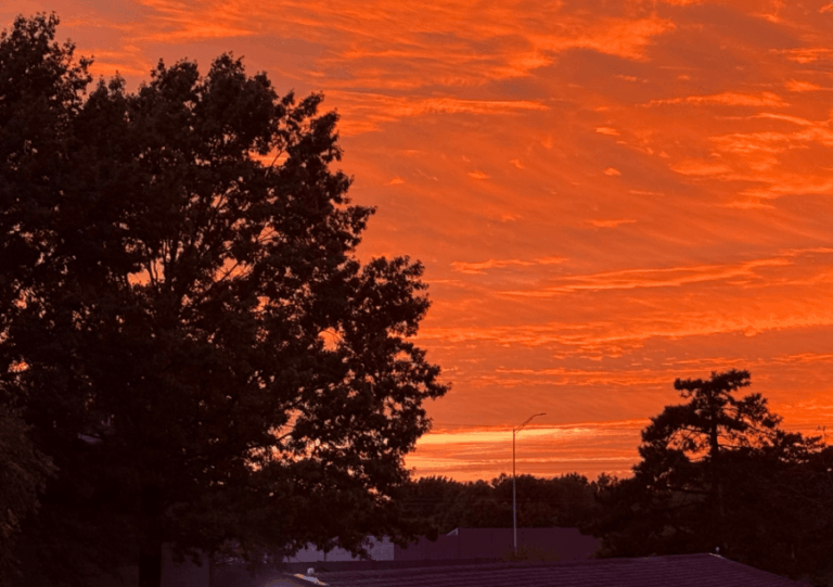 Блог Джо: шансы дождя и зимняя мысль (WED-10/1)