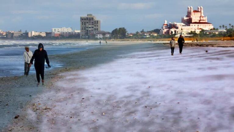 Тампа-Бей готовится к рекордно холодной погоде с приютами, рекомендациями