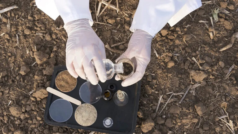 Эксперты предупреждают, что регион США страдает от сильной засухи: «Сейчас мы просто не видим этого в перспективе».