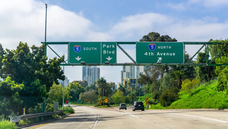 Онлайн видео с диким животным, которому не место: «Неправильный поворот»