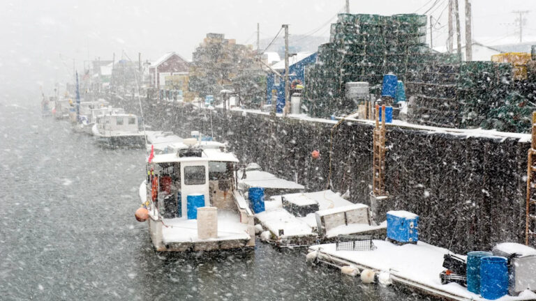 Снег, влияющий на океан: что нужно знать о погодном феномене (и стоит ли беспокоиться?)