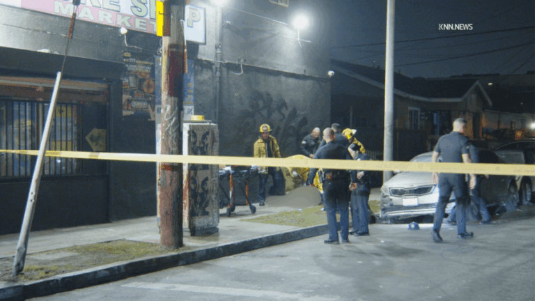 Сын исполнительного директора рэпа, предполагаемый лидер Rolling 60’s Crips, застрелен в Лос-Анджелесе.