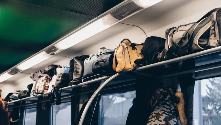 Власти делают тревожное открытие в бюсте на железнодорожной станции: «Выживание висит на волоске»