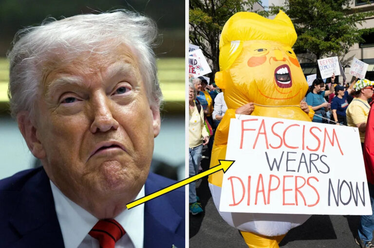 «Я больше не признаю свою страну»: американцы раскрывают, почему они вышли на улицы в 2025 году, и их причины заставят вас хотеть взять знак протеста