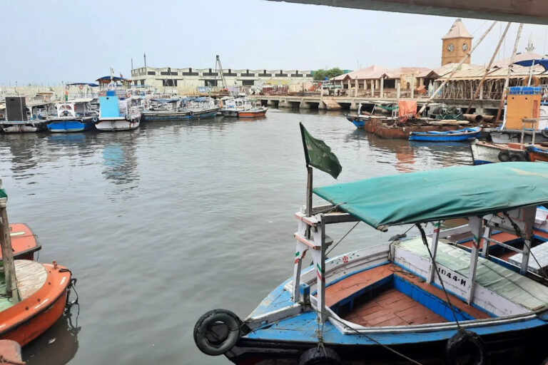 Рыбаки ошеломлены, увидев у берегов один раз в жизни: «Заслуживает признания»