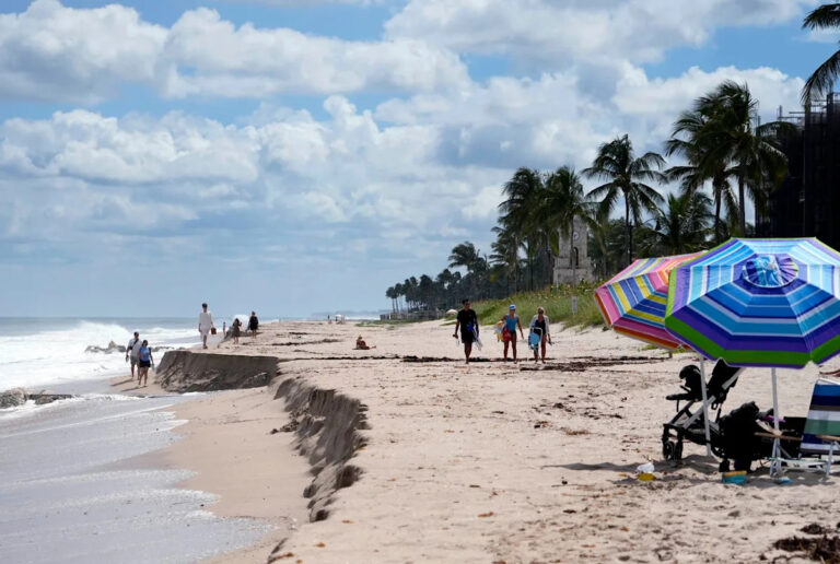 Какая часть Флориды считается тропиками? Голосуйте там, где, по вашему мнению, начинается Южная Флорида.